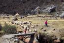 029 Mother and Daughter Herding Sheep, Cordillera Blanca Peru.